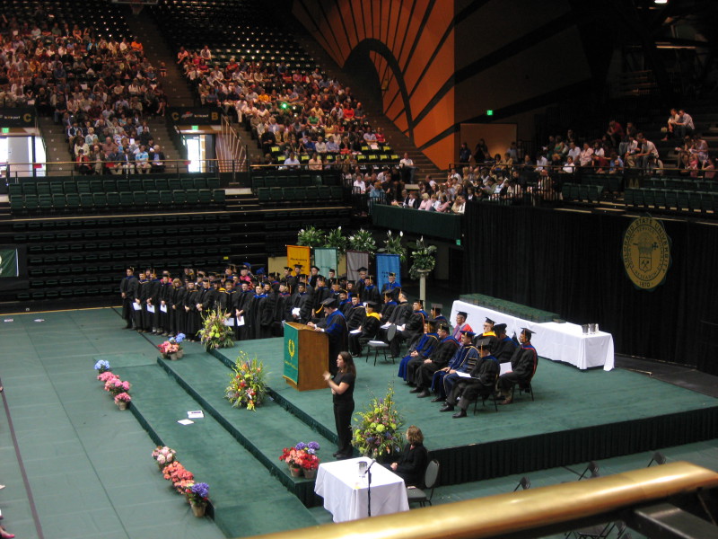 Scaled image img-0229.jpg 