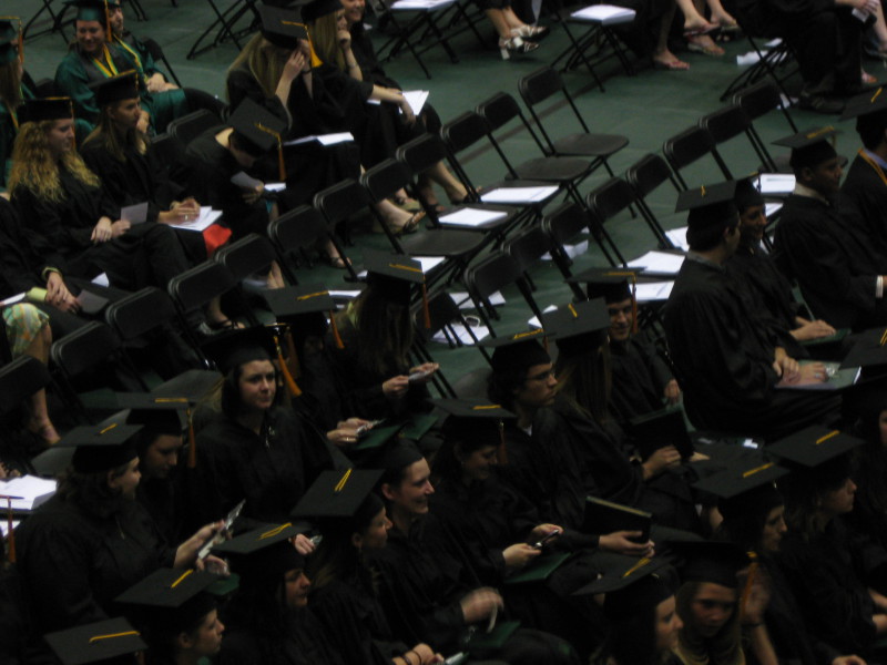 Scaled image img-0238.jpg 