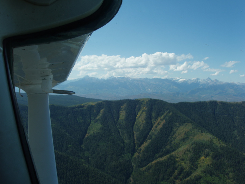 Scaled image P1010358.jpg 