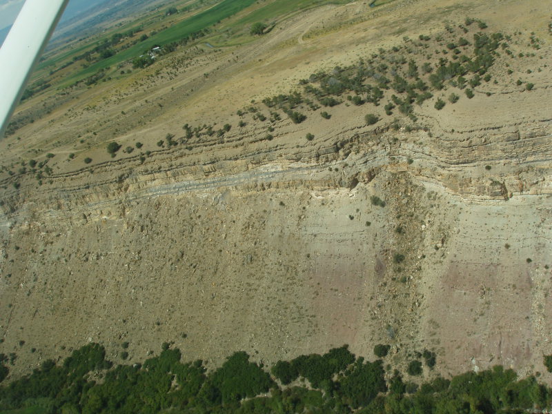 Scaled image P1010393.jpg 