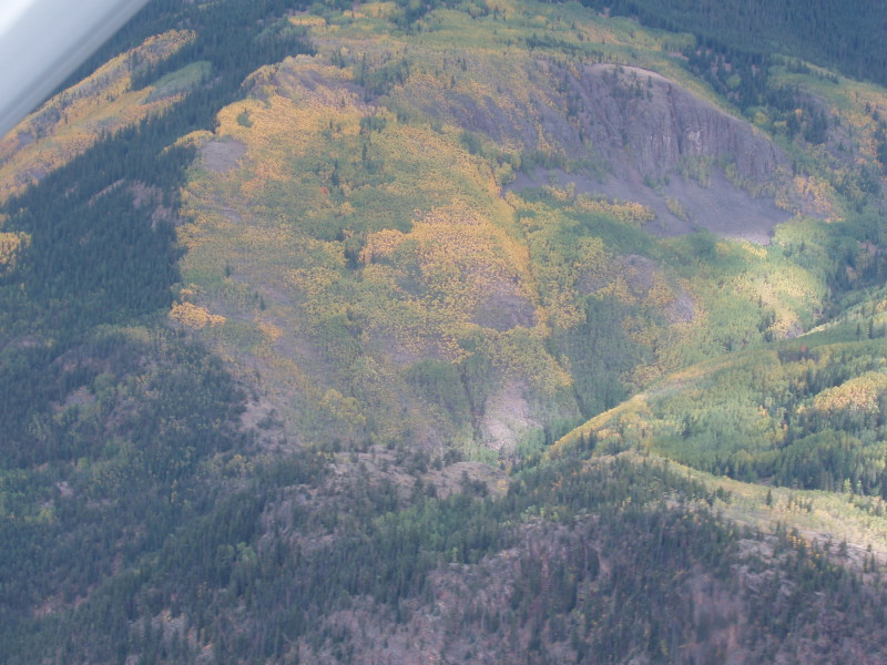 Scaled image P1010468.jpg 