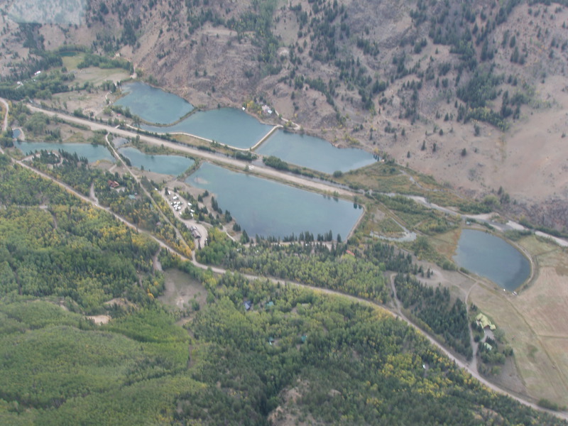 Scaled image P1010480.jpg 