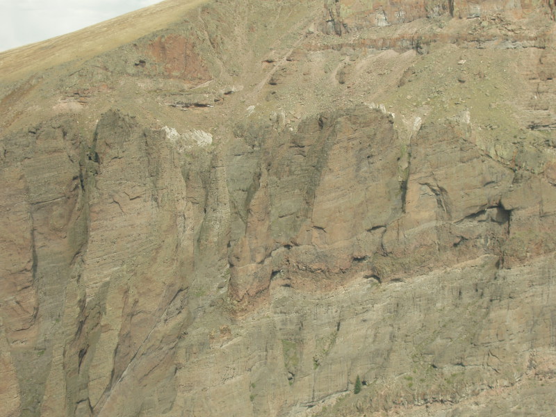 Scaled image P1010497.jpg 