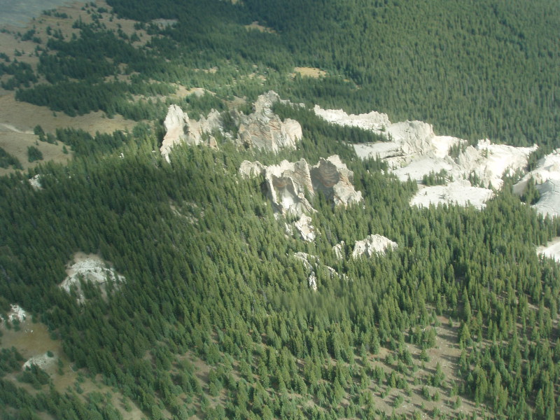 Scaled image P1010519.jpg 