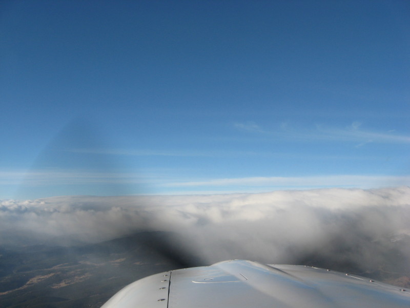 Scaled image img-0597.jpg 