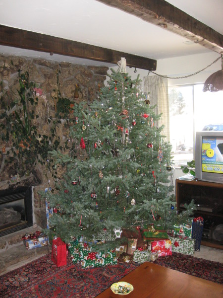 Scaled image img-0644.jpg 