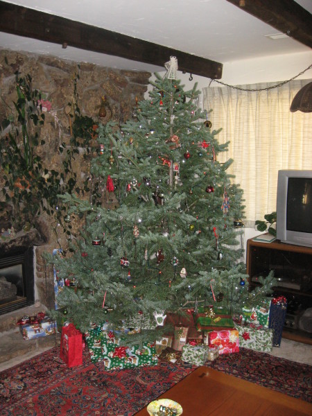 Scaled image img-0645.jpg 
