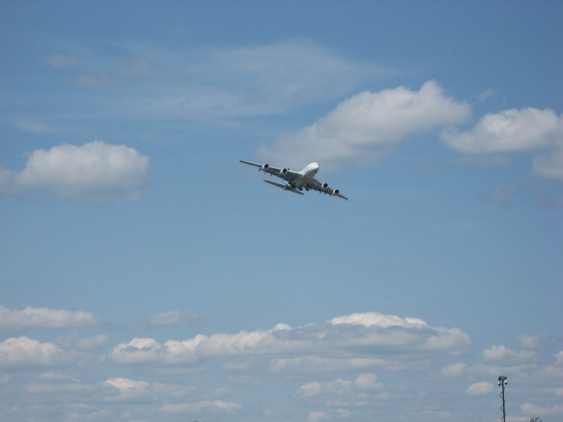 Scaled image img-0548.jpg 