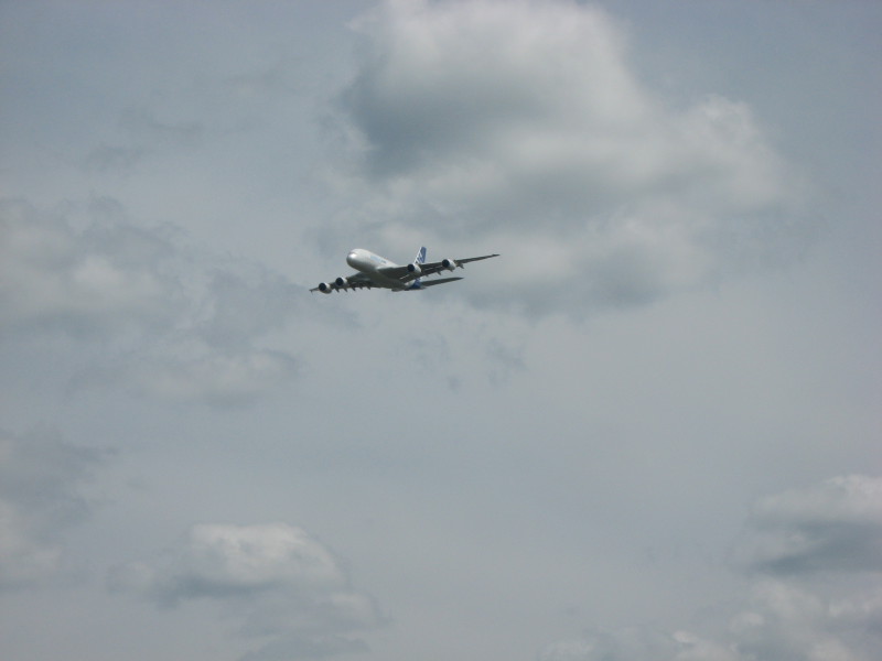 Scaled image img-0551.jpg 