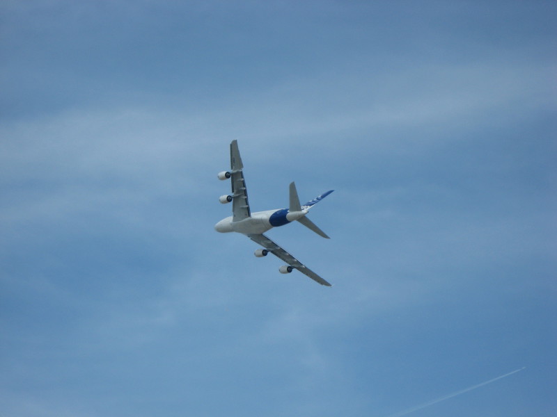 Scaled image img-0553.jpg 