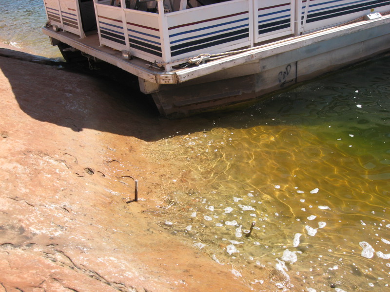 Scaled image img-0620.jpg 