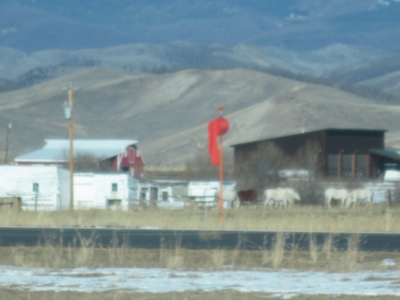 Scaled image img-0168.jpg 