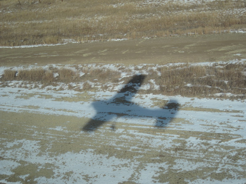 Scaled image img-0170.jpg 