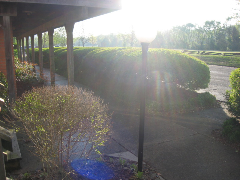 Scaled image img-0744.jpg 