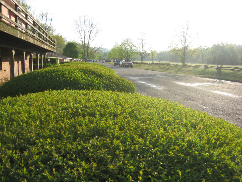 Scaled image img-0745.jpg 