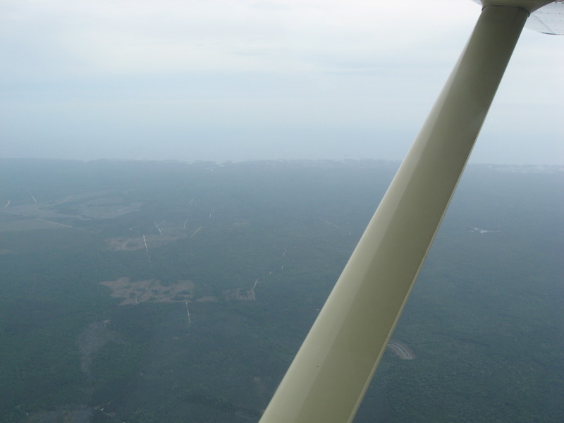 Scaled image img-0772.jpg 