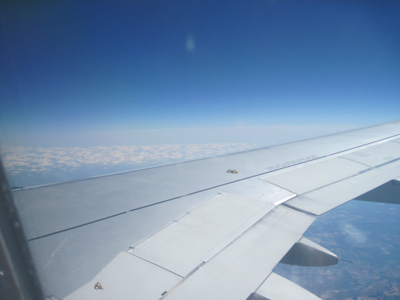 Scaled image img-0354.jpg 