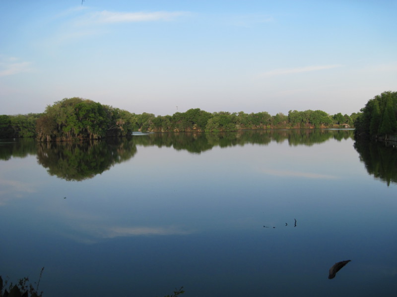 Scaled image img-0397.jpg 