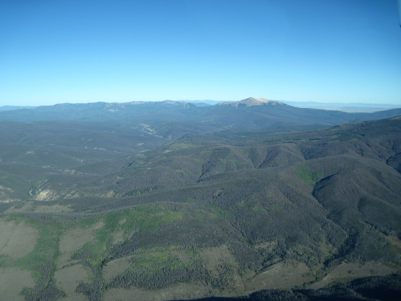 Scaled image img-1383.jpg 