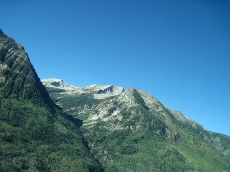 Scaled image img-1401.jpg 