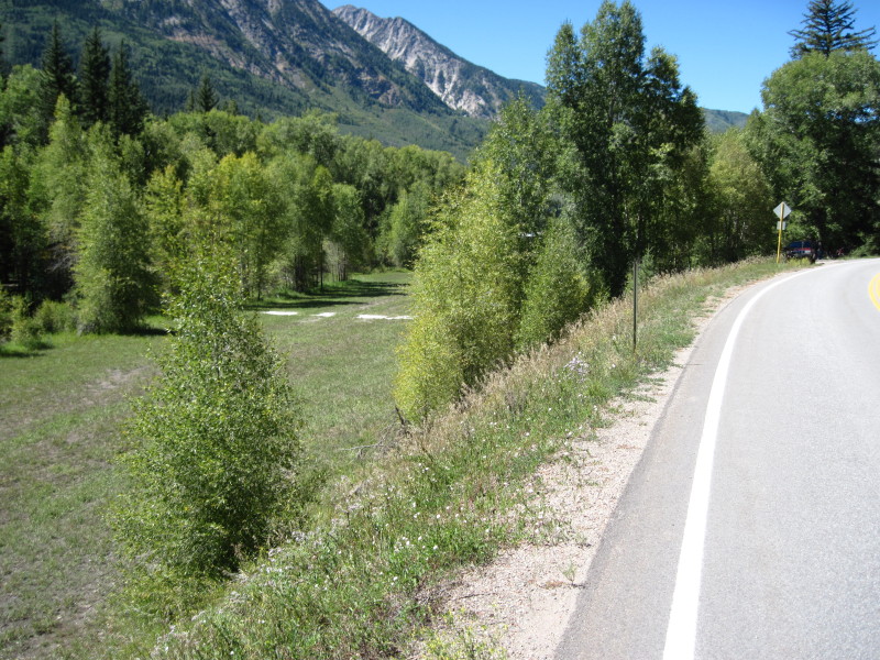 Scaled image img-1452.jpg 