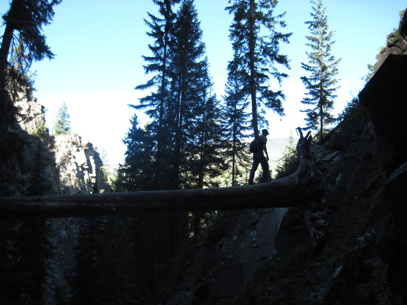 Scaled image img-1507.jpg 