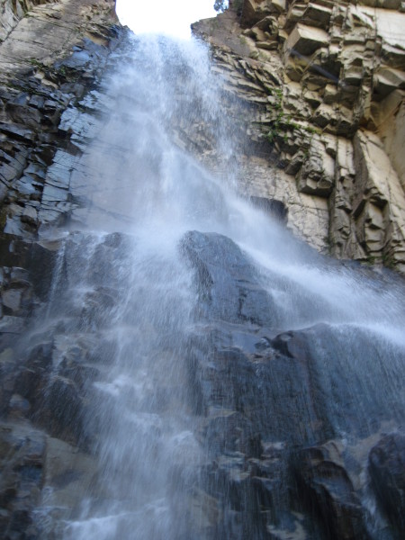 Scaled image img-1517.jpg 