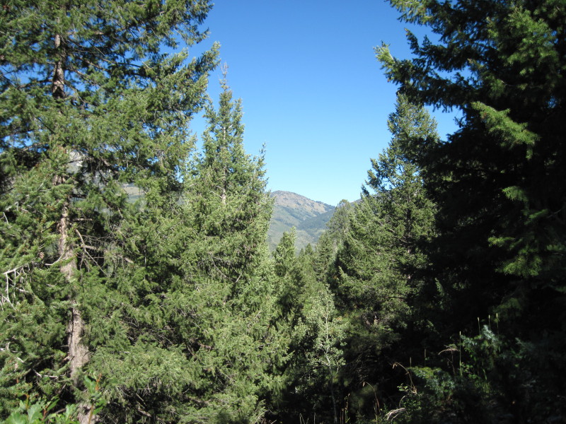 Scaled image img-1529.jpg 