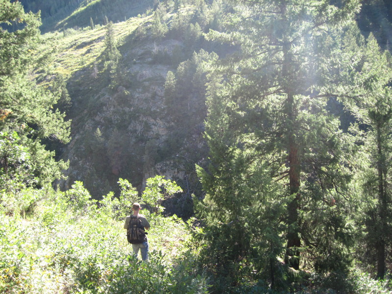 Scaled image img-1533.jpg 