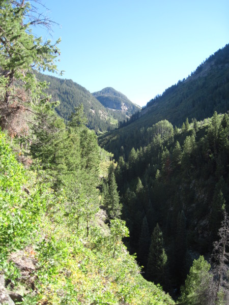 Scaled image img-1535.jpg 