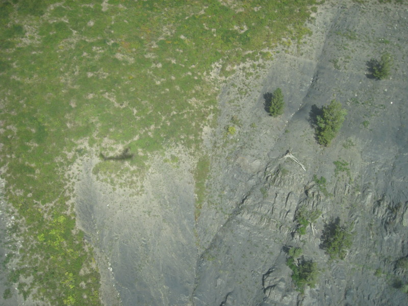 Scaled image img-1600.jpg 