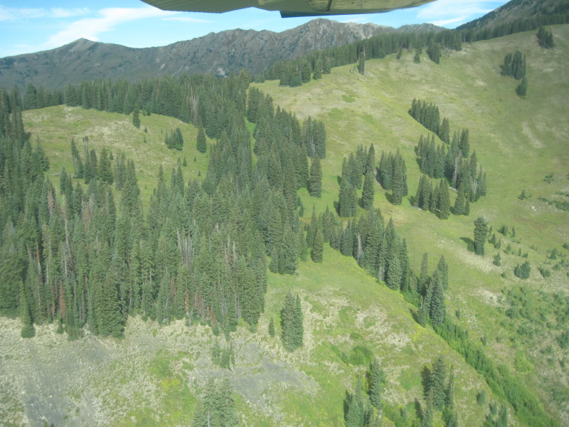Scaled image img-1601.jpg 