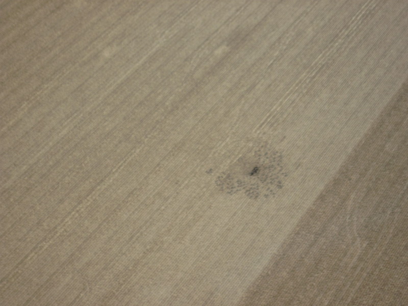 Scaled image img-1798.jpg 