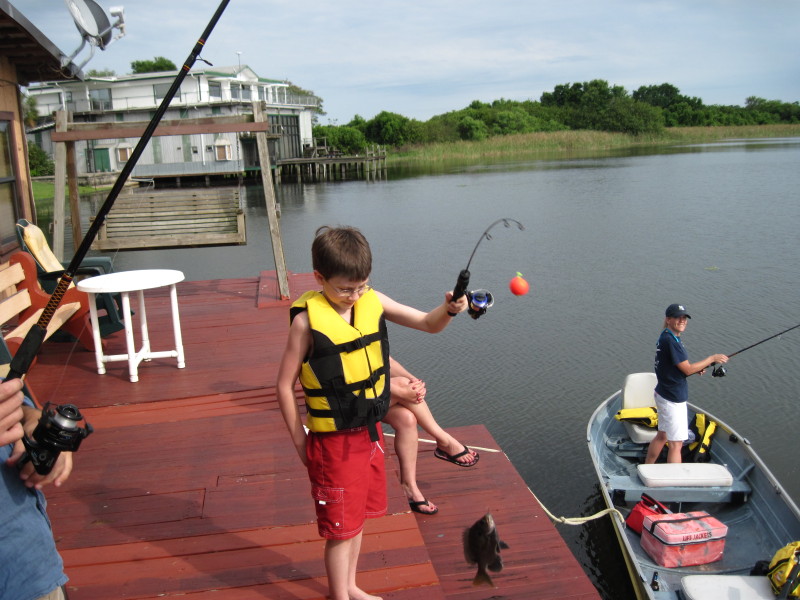 Scaled image img-2049.jpg 