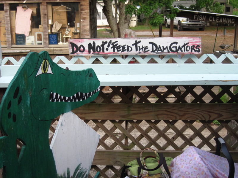 Scaled image img-2071.jpg 