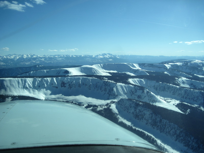 Scaled image img-2142.jpg 