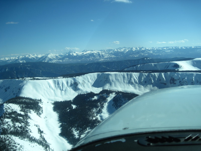 Scaled image img-2143.jpg 