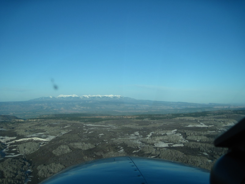 Scaled image img-2198.jpg 