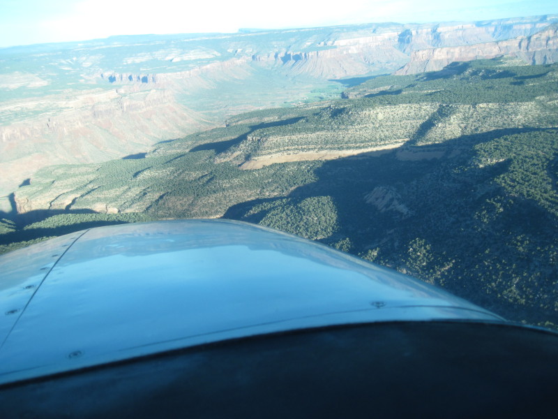 Scaled image img-2199.jpg 