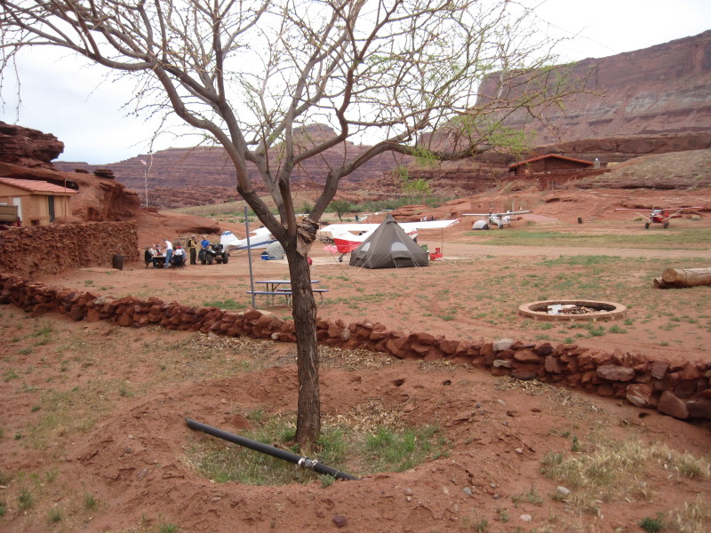 Scaled image img-2221.jpg 