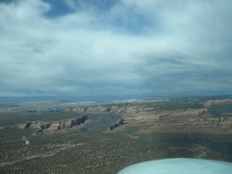 Scaled image img-2247.jpg 