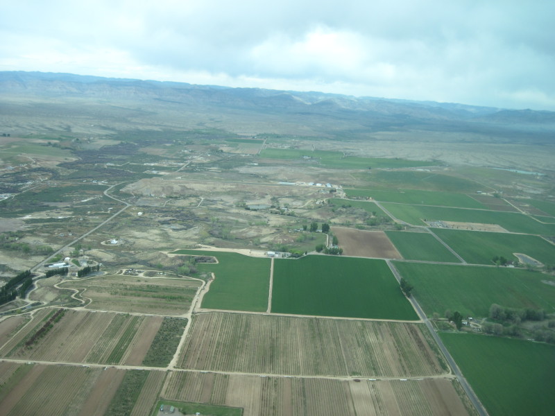 Scaled image img-2251.jpg 