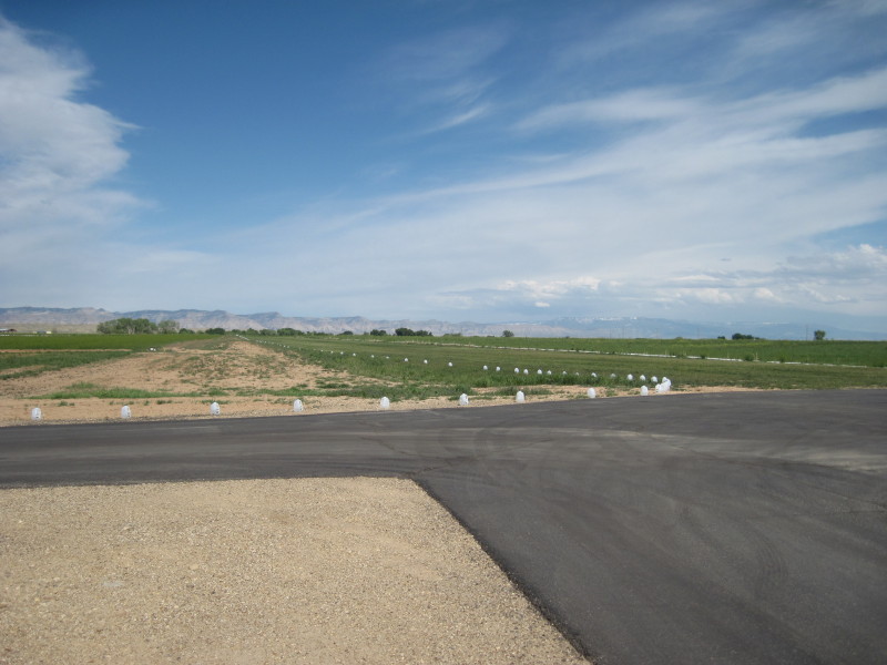 Scaled image img-2253.jpg 