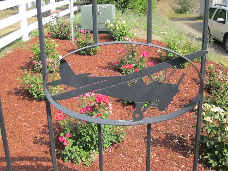 Scaled image img-0337.jpg 