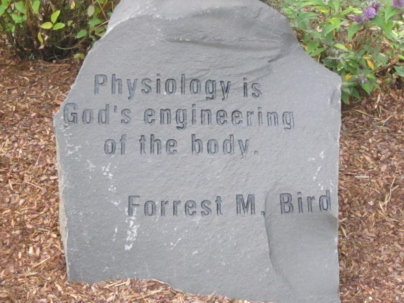 Scaled image img-0417.jpg 