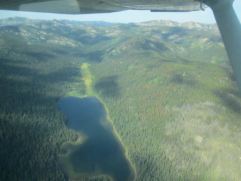 Scaled image img-0460.jpg 