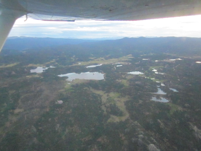 Scaled image img-0473.jpg 