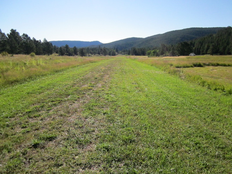 Scaled image img-0514.jpg 