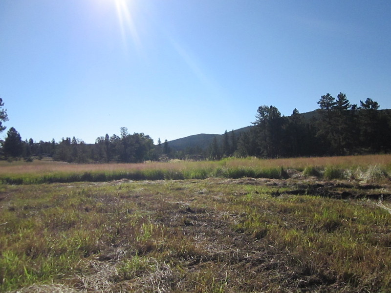 Scaled image img-0521.jpg 