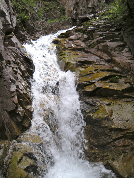 Scaled image DSCN3390.jpg 